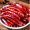 Chile a granel de alta calidad y buen precio